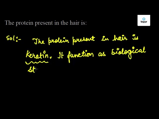 The protein present in the hair is: