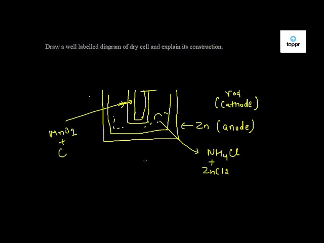 solved-draw-a-well-labelled-diagram-of-typical-prokaryotic-cel-self