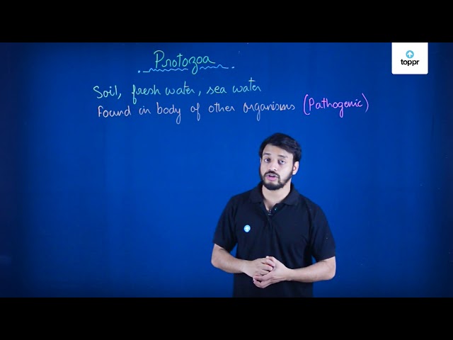 protozoa-in-english-biology-video-lectures