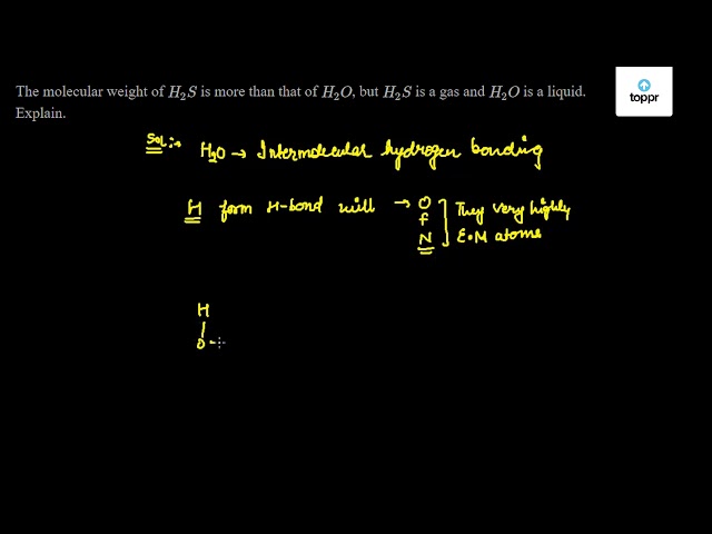 The Molecular Weight Of H2s Is More Than That Of H2o But H2s Is A Gas And H2o Is A Liquid Explain