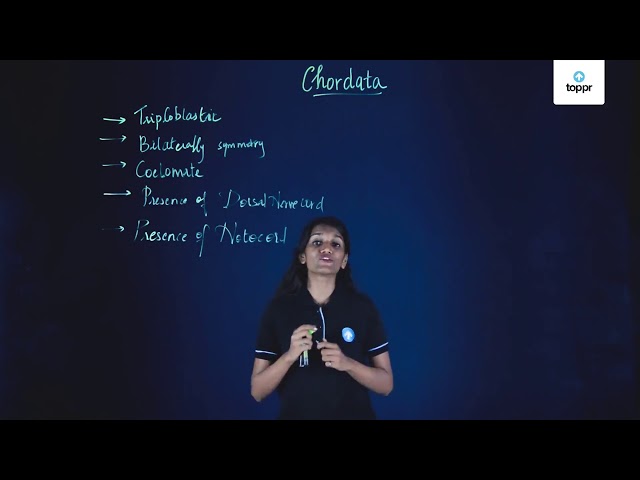 Non Chordata Examples In Hindi