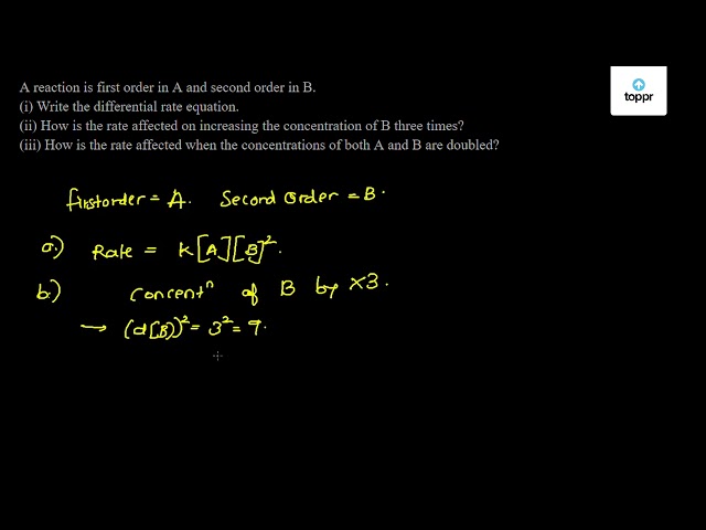 In The Following Reaction 3a B 75+ Pages Answer [725kb] - Updated 2021 