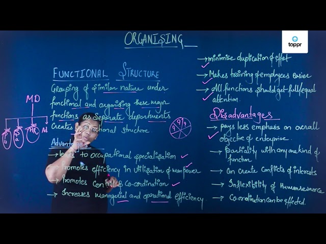 Functional Structure In English 