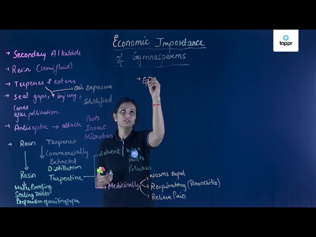 economic-importance-of-gymnosperms-in-english-biology-video-lectures