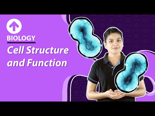 Cell Structure and Function in English | Biology Video Lectures